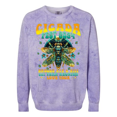 Cicada 2024 Insect Cicada Lover Colorblast Crewneck Sweatshirt