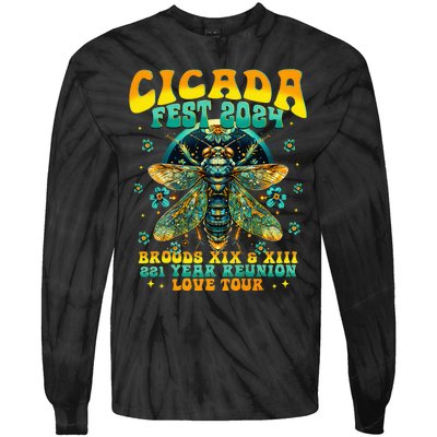 Cicada 2024 Insect Cicada Lover Tie-Dye Long Sleeve Shirt