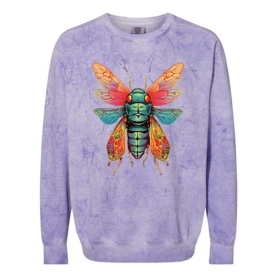 Cicada 2024 Invasion Double Emergence Colorblast Crewneck Sweatshirt