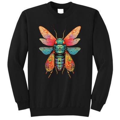 Cicada 2024 Invasion Double Emergence Tall Sweatshirt