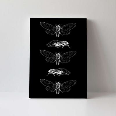 Cicadas 2024 Return Of The Insects Canvas