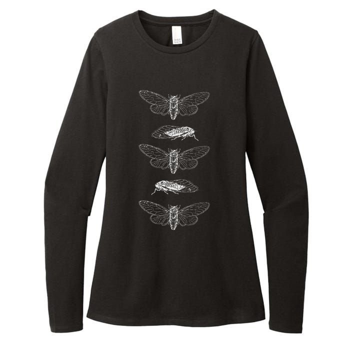 Cicadas 2024 Return Of The Insects Womens CVC Long Sleeve Shirt