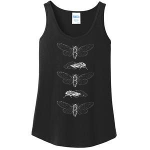 Cicadas 2024 Return Of The Insects Ladies Essential Tank