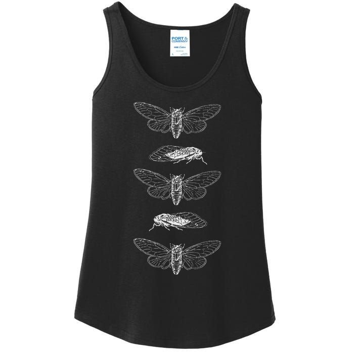 Cicadas 2024 Return Of The Insects Ladies Essential Tank