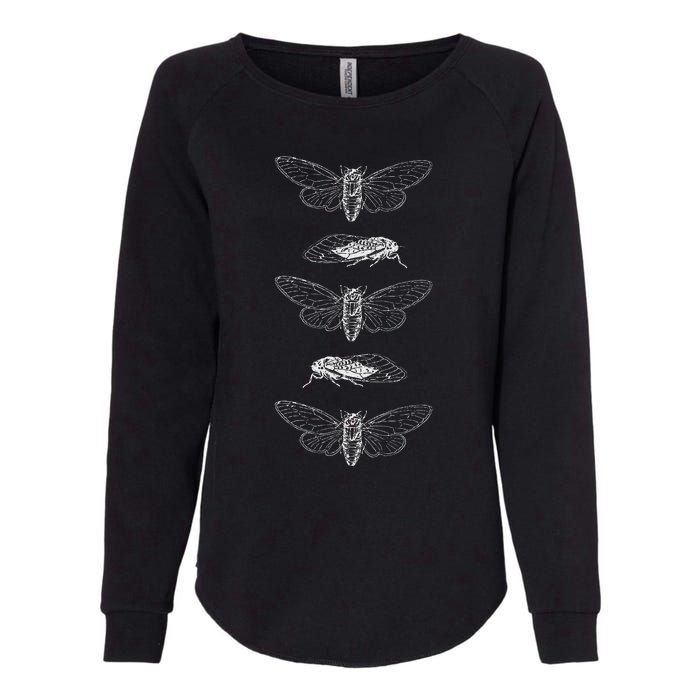 Cicadas 2024 Return Of The Insects Womens California Wash Sweatshirt