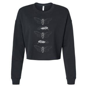 Cicadas 2024 Return Of The Insects Cropped Pullover Crew