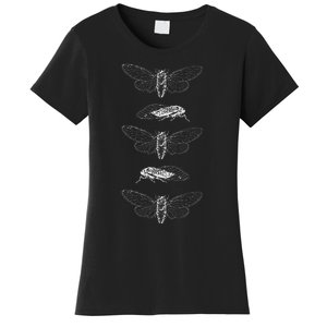 Cicadas 2024 Return Of The Insects Women's T-Shirt