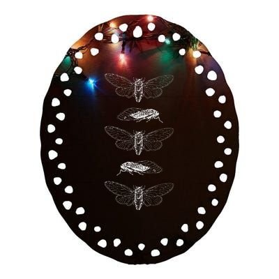 Cicadas 2024 Return Of The Insects Ceramic Oval Ornament