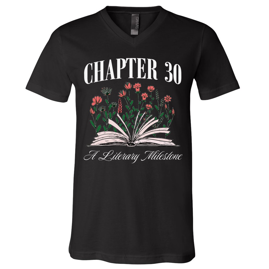 Chapter 30 A Literary Milestone Book Lover Hello 30 Gift V-Neck T-Shirt