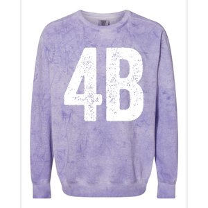 Cool 4b Feminist Movement Support American 4b Movement Colorblast Crewneck Sweatshirt