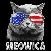 Cat 4th Of July Meowica American Flag Sunglasses Cooling Performance Long Sleeve Crew