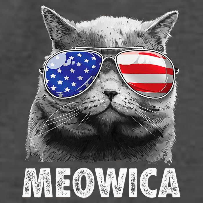 Cat 4th Of July Meowica American Flag Sunglasses Vector Backpack