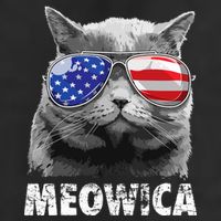 Cat 4th Of July Meowica Merica USA American Flag Adult Drive Performance Visor