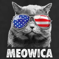 Cat 4th Of July Meowica American Flag Sunglasses Adult Drive Performance Visor