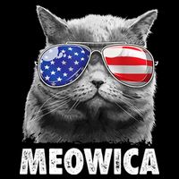 Cat 4th Of July Meowica American Flag Sunglasses Toddler Hoodie