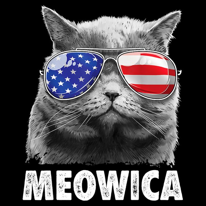 Cat 4th Of July Meowica American Flag Sunglasses Toddler Hoodie