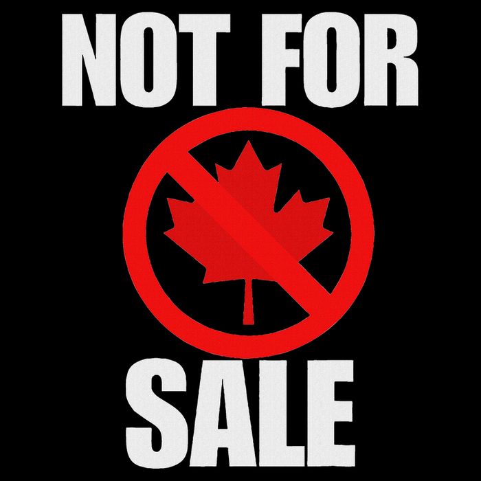 Canada 51st State Not For Sale Kids T-Shirt
