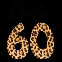 Chapter 60 Anniversary Leopard 60th Birthday Party Crew Stripe Pom Pom Beanie