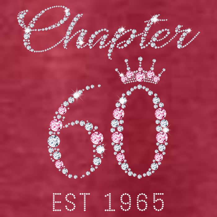 Chapter 60 EST 1965 60Th Birthday Present T-Shirt