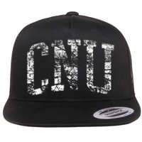 CNU Athletic Arch College University Alumni Flat Bill Trucker Hat