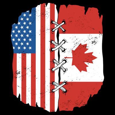 Canadian And American Vintage Flag T-Shirt