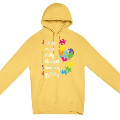 Colorful Autism Awareness Gift Design Sd Parents Meaningful Gift Premium Pullover Hoodie