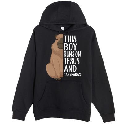 Capybara Art Animal For Capybara Lovers Premium Pullover Hoodie