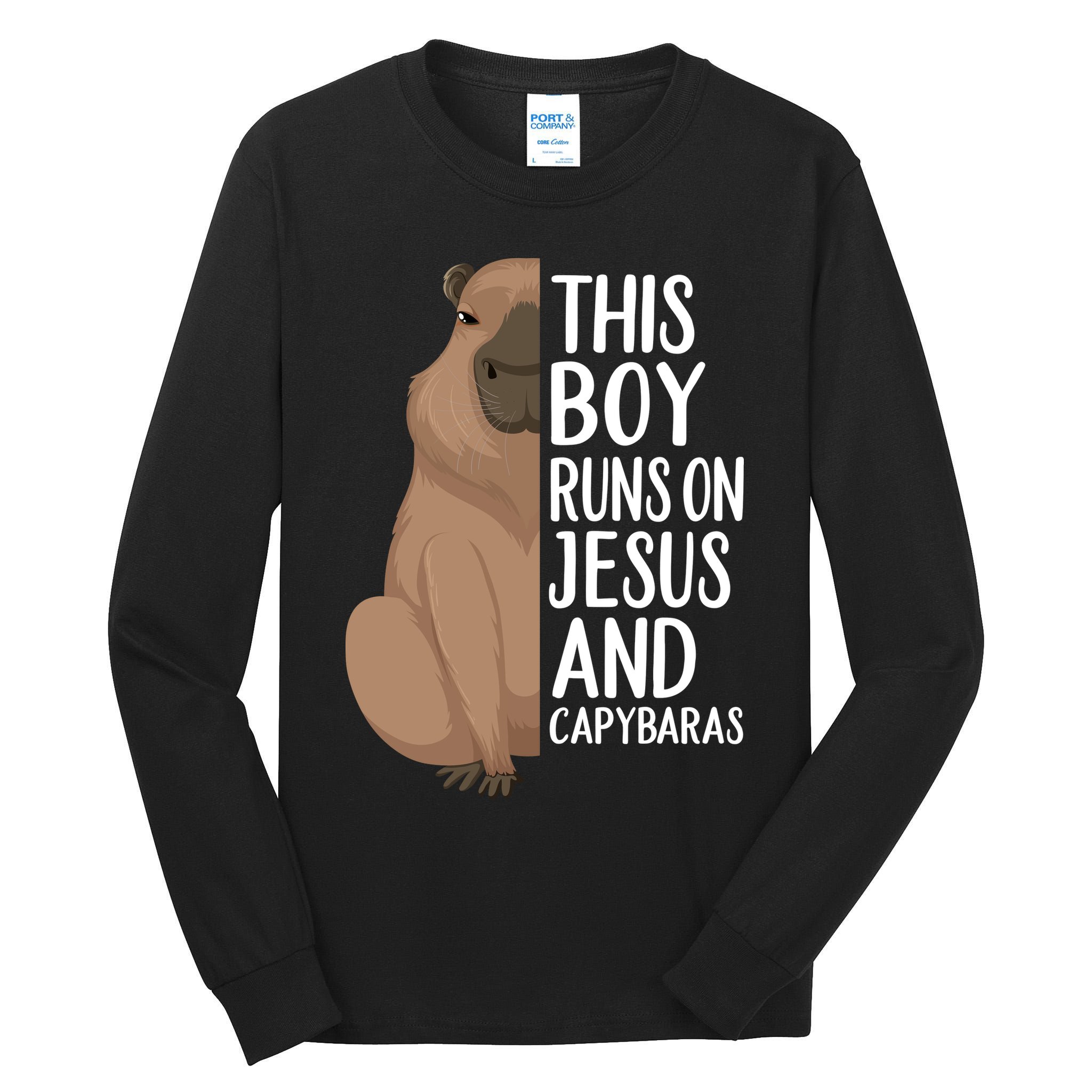Capybara Art Animal For Capybara Lovers Tall Long Sleeve T-Shirt