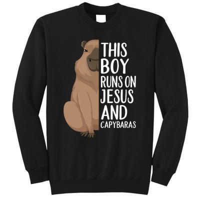 Capybara Art Animal For Capybara Lovers Tall Sweatshirt