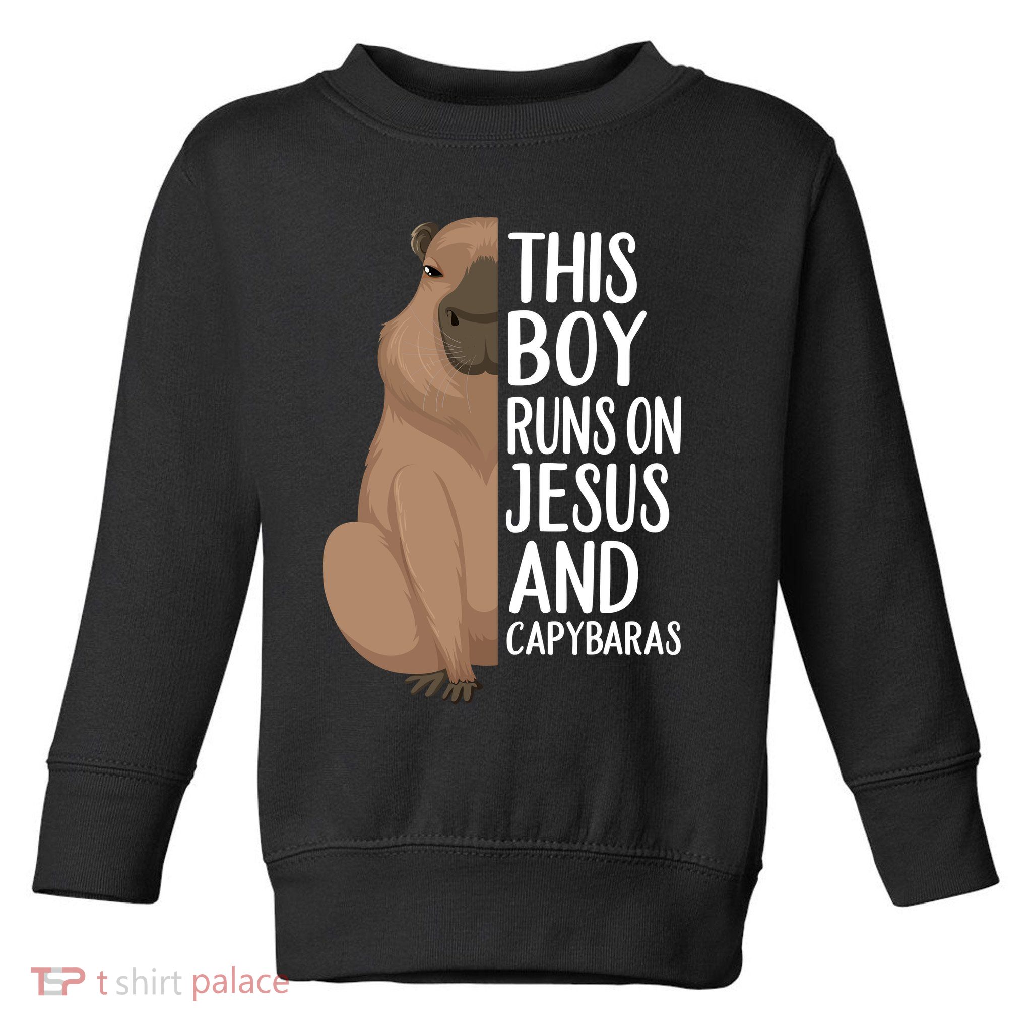 Capybara Art Animal For Capybara Lovers Toddler Sweatshirt