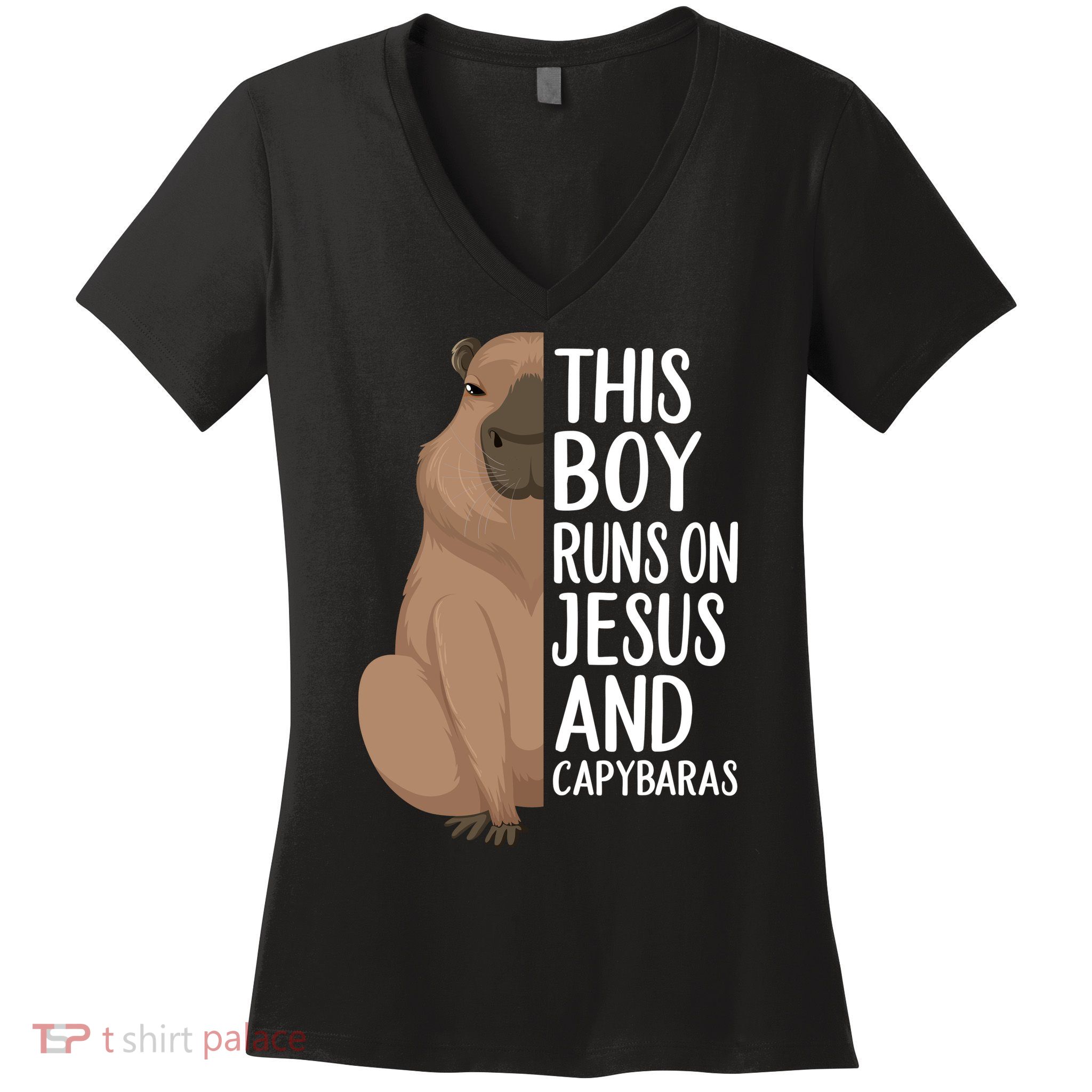 Capybara Art Animal For Capybara Lovers Women's V-Neck T-Shirt