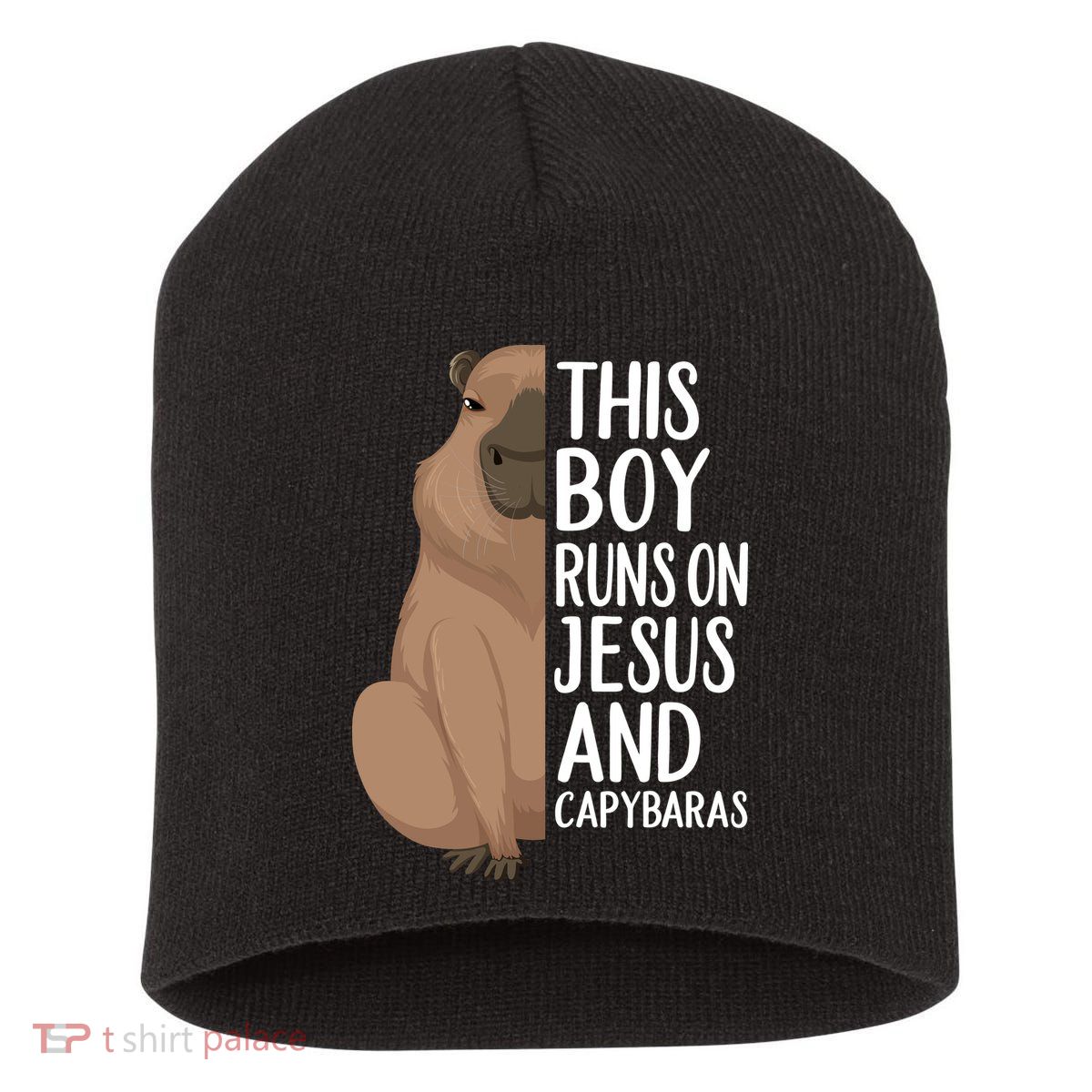 Capybara Art Animal For Capybara Lovers Short Acrylic Beanie