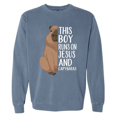 Capybara Art Animal For Capybara Lovers Garment-Dyed Sweatshirt