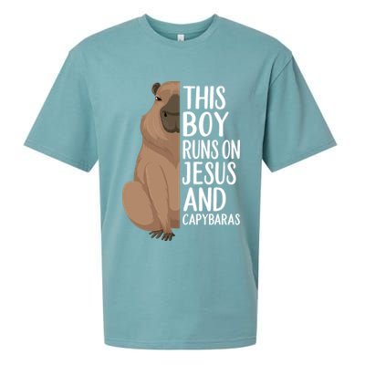 Capybara Art Animal For Capybara Lovers Sueded Cloud Jersey T-Shirt