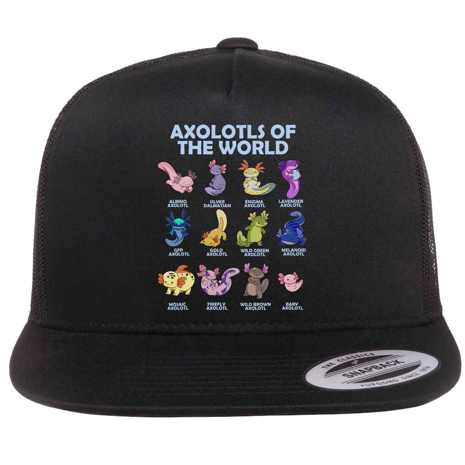 Cute Axolotl Axolotl Animals Of The World Herpetology Flat Bill Trucker Hat