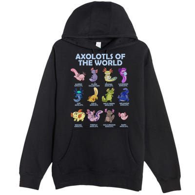 Cute Axolotl Axolotl Animals Of The World Herpetology Premium Pullover Hoodie