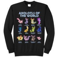 Cute Axolotl Axolotl Animals Of The World Herpetology Tall Sweatshirt