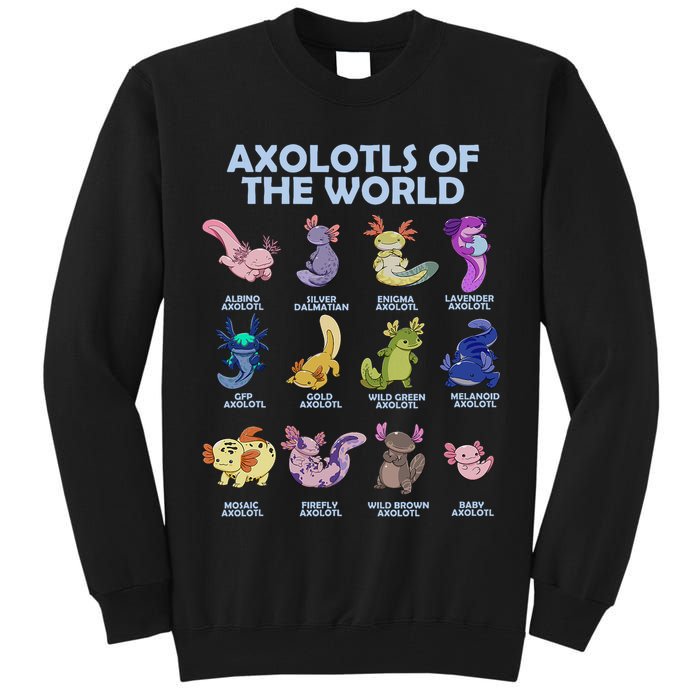 Cute Axolotl Axolotl Animals Of The World Herpetology Tall Sweatshirt
