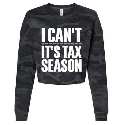 Cool Accountant Art For Men Women Accounting Tax Analyst Cropped Pullover Crew