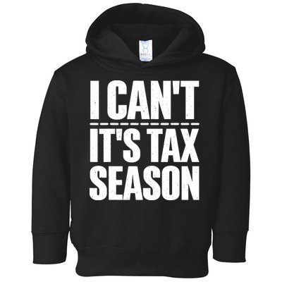 Cool Accountant Art For Men Women Accounting Tax Analyst Toddler Hoodie