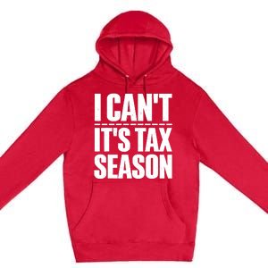 Cool Accountant Art For Men Women Accounting Tax Analyst Premium Pullover Hoodie