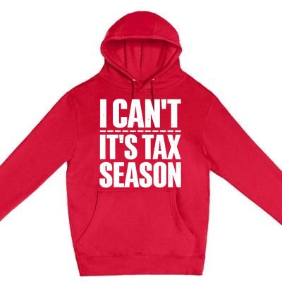 Cool Accountant Art For Men Women Accounting Tax Analyst Premium Pullover Hoodie