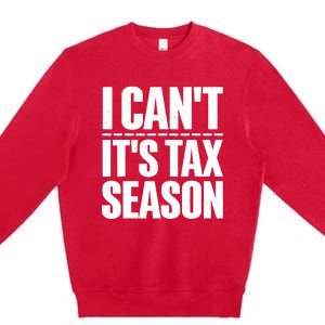 Cool Accountant Art For Men Women Accounting Tax Analyst Premium Crewneck Sweatshirt