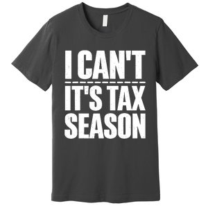 Cool Accountant Art For Men Women Accounting Tax Analyst Premium T-Shirt