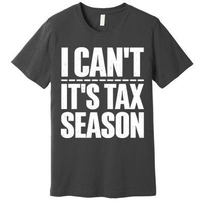 Cool Accountant Art For Men Women Accounting Tax Analyst Premium T-Shirt