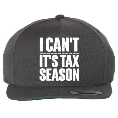 Cool Accountant Art For Men Women Accounting Tax Analyst Wool Snapback Cap