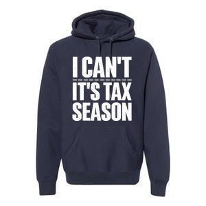 Cool Accountant Art For Men Women Accounting Tax Analyst Premium Hoodie