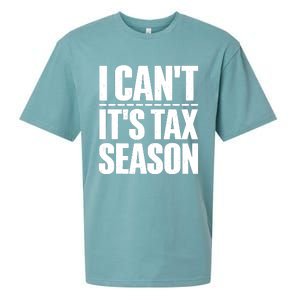 Cool Accountant Art For Men Women Accounting Tax Analyst Sueded Cloud Jersey T-Shirt