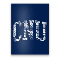 Cnu Athletic Arch College University Alumni Poster