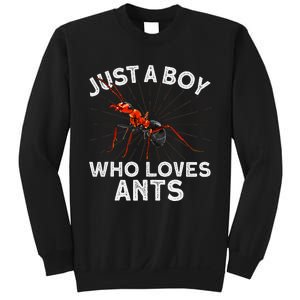 Cool Ant Ant Farm Entomology Ants Insect Sweatshirt